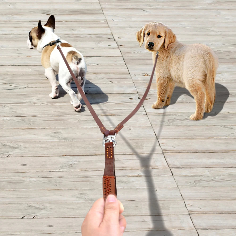 Double Dog Leash Coupler with Handle for 2 Dogs