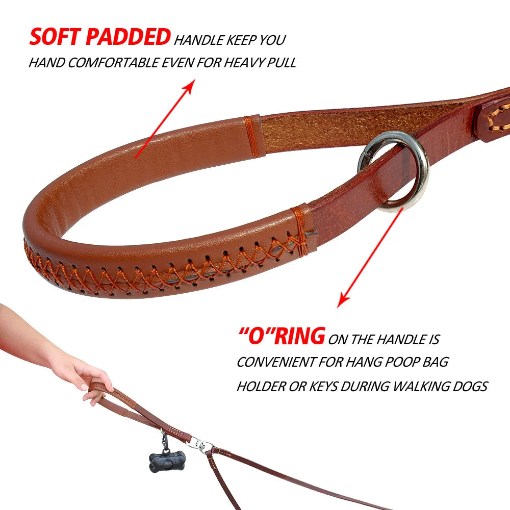 Double Dog Leash Coupler with Handle for 2 Dogs