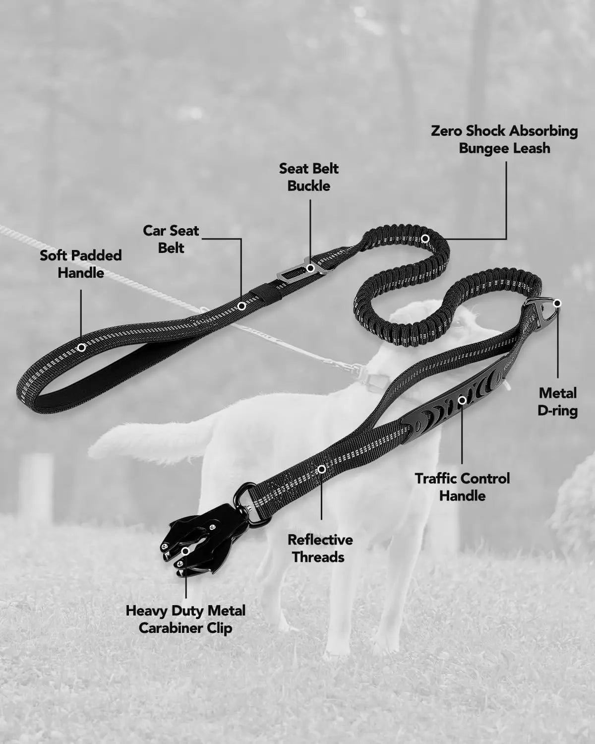 Heavy-Duty Bungee Dog Leash for Medium & Large Dogs