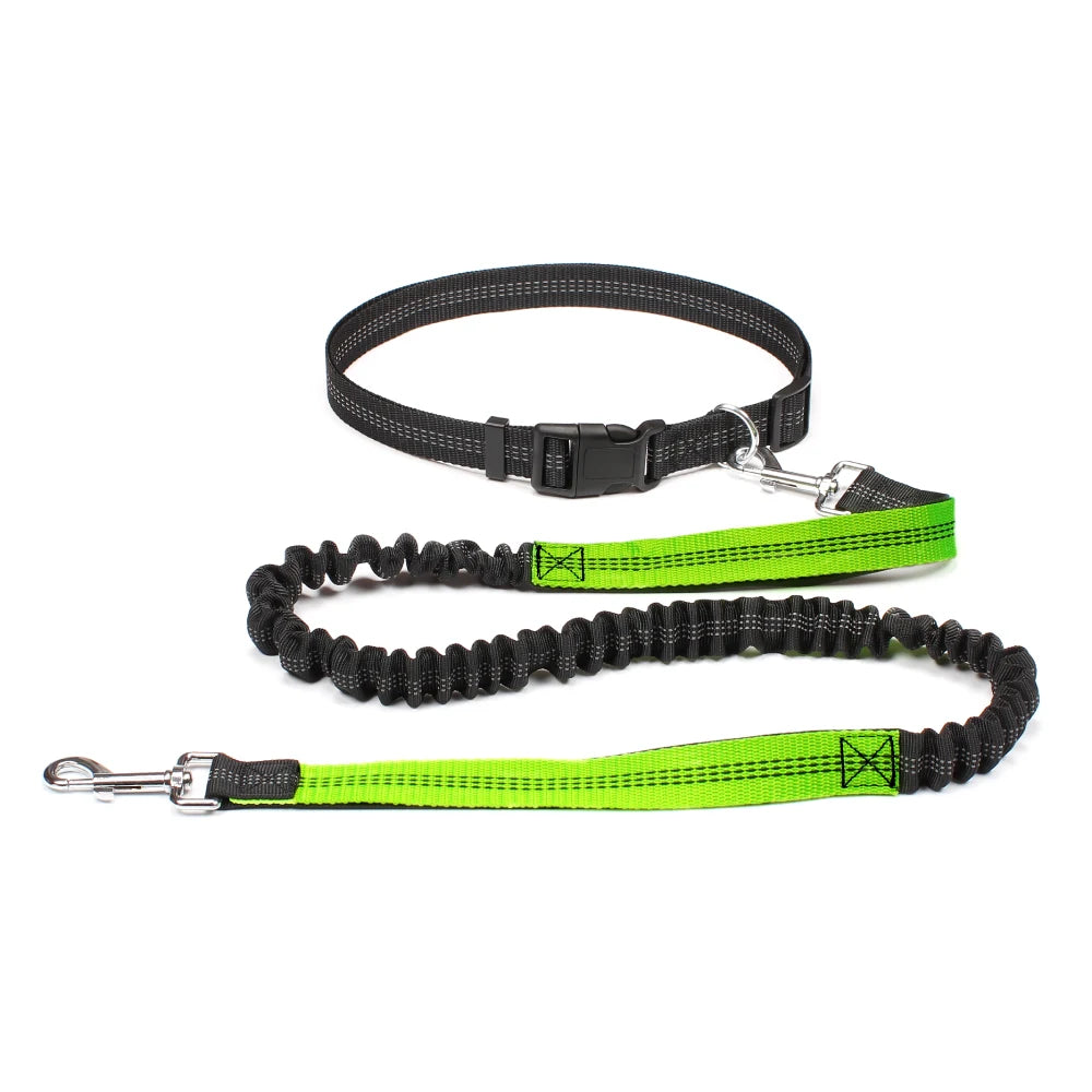 Hands-Free Dog Leash with Adjustable Waist Belt