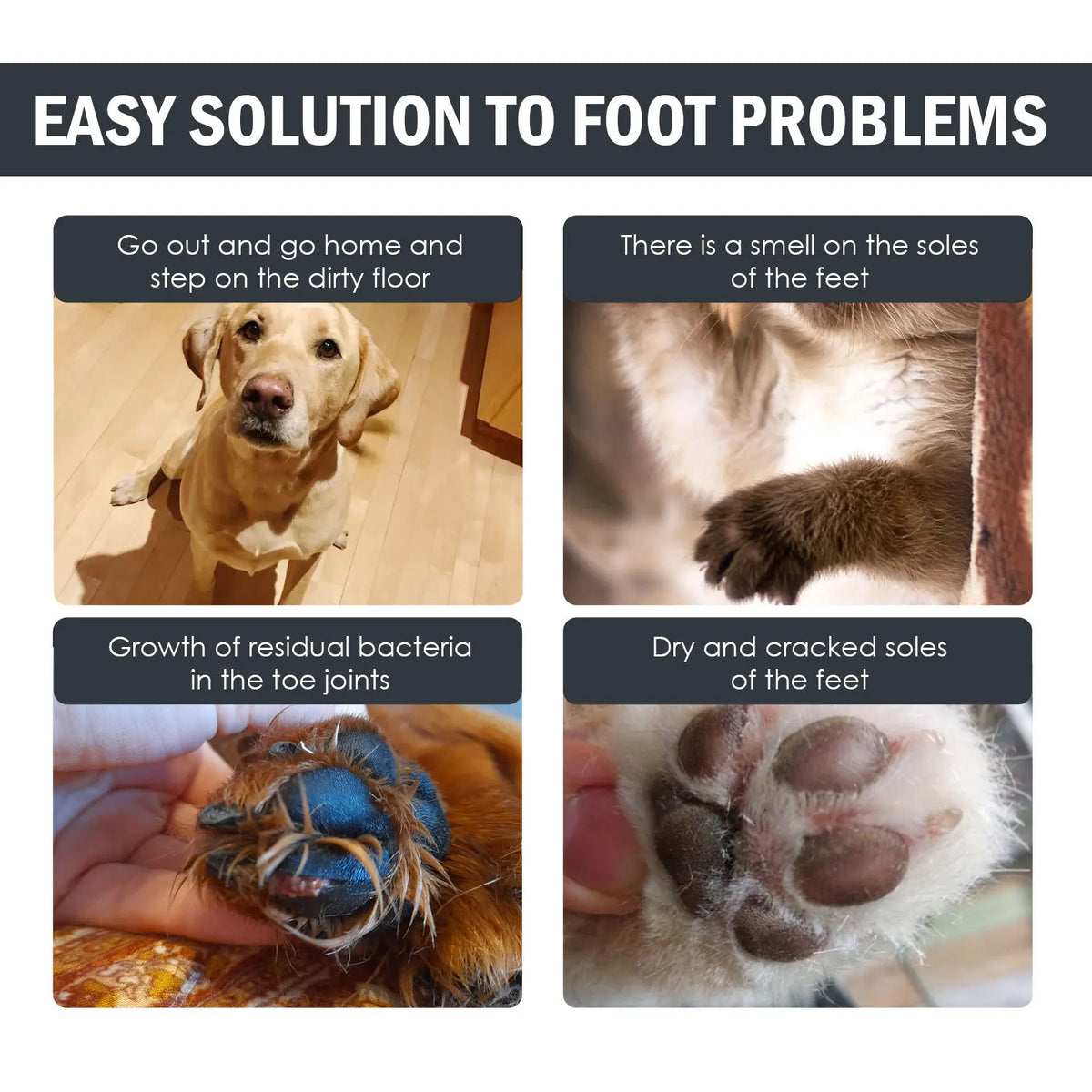 Waterless Pet Paw Cleaner Foam for Dogs & Cats