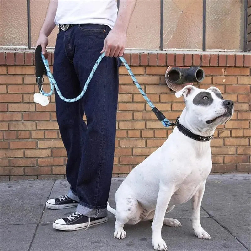 Reflective Heavy-Duty Dog Leash with Padded Handle