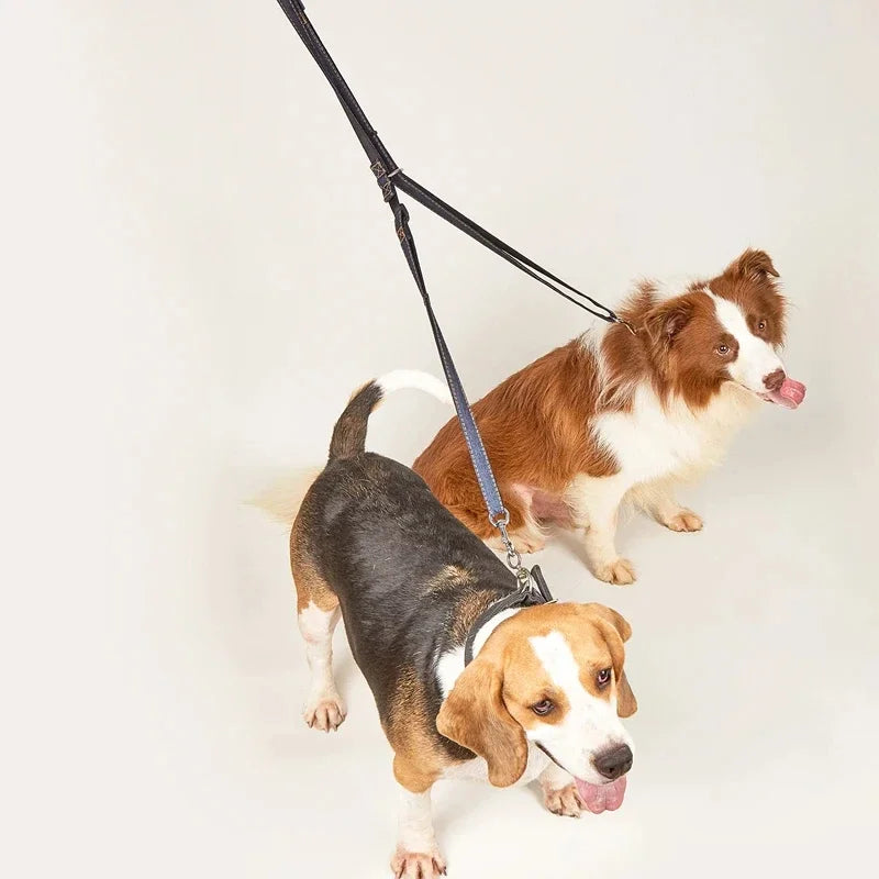 Adjustable Hands-Free Double Dog Leash for Walking & Running
