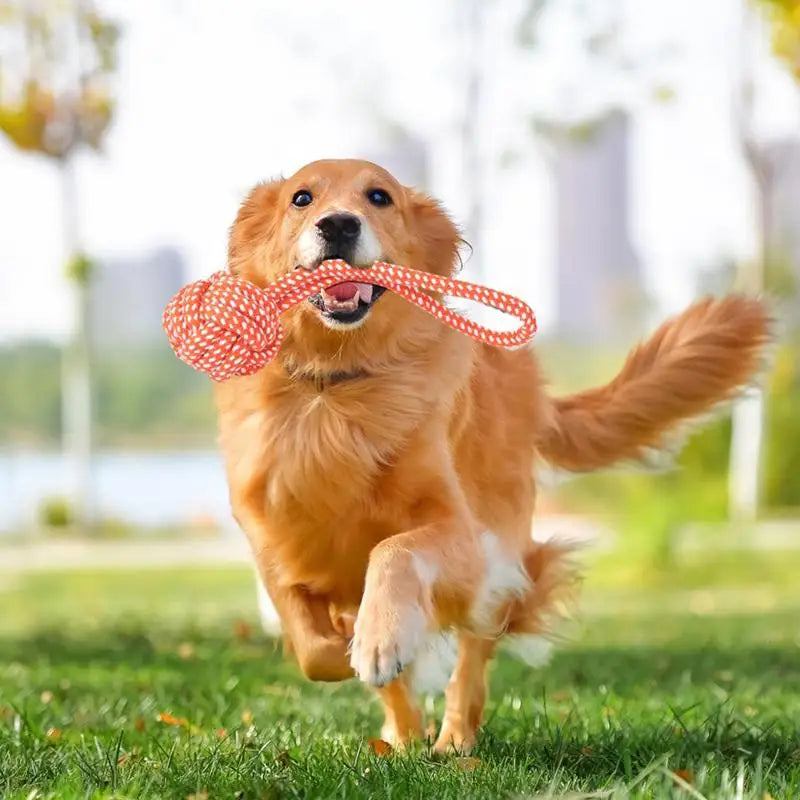 Dog Flirt Pole Interactive Toy for Large Dogs