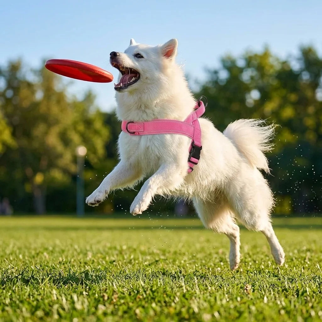 Tactical No-Pull Dog Harness for Large Breeds