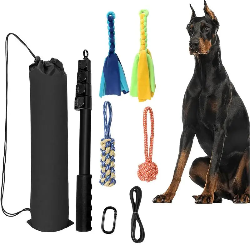 Dog Flirt Pole Interactive Toy for Large Dogs