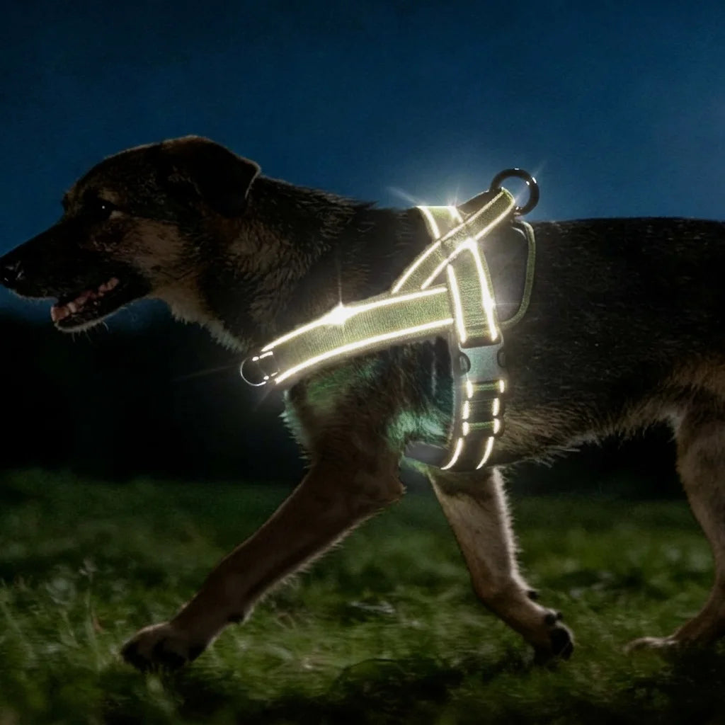 Tactical No-Pull Dog Harness for Large Breeds