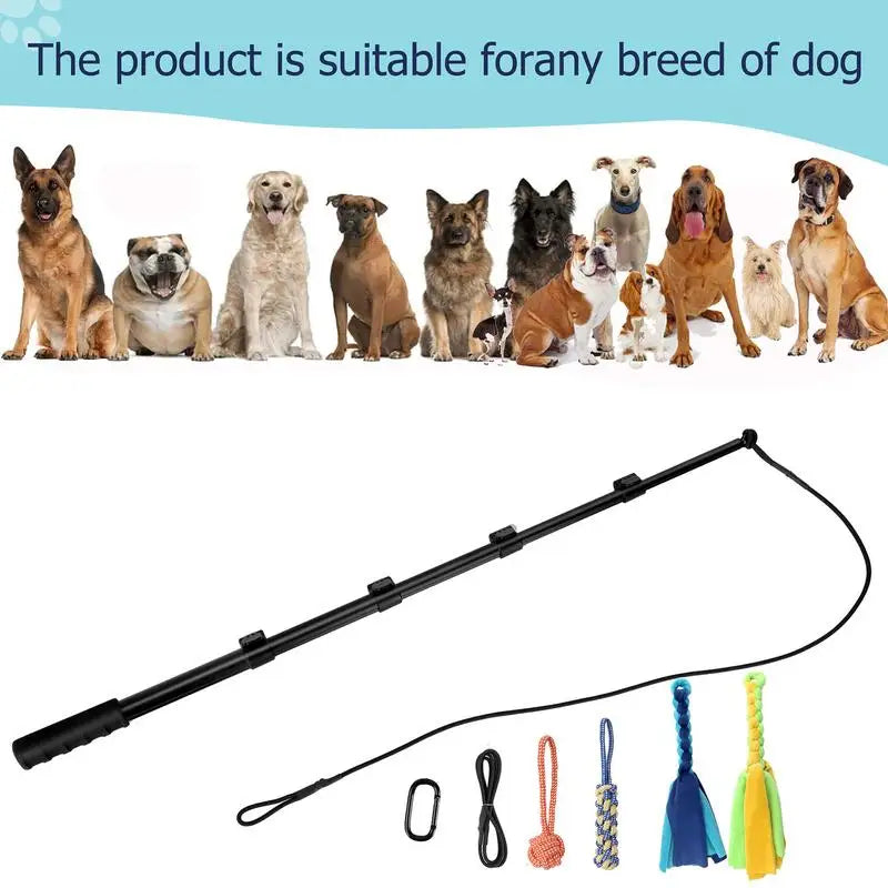 Dog Flirt Pole Interactive Toy for Large Dogs