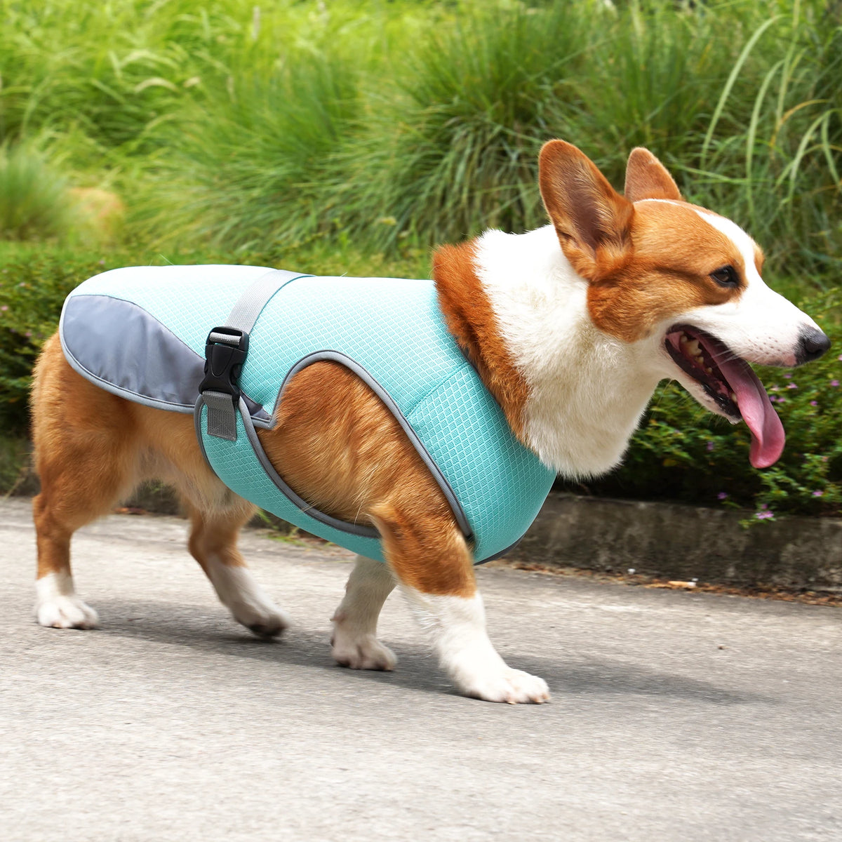 Cooling Vest for Dogs – Breathable & Reflective