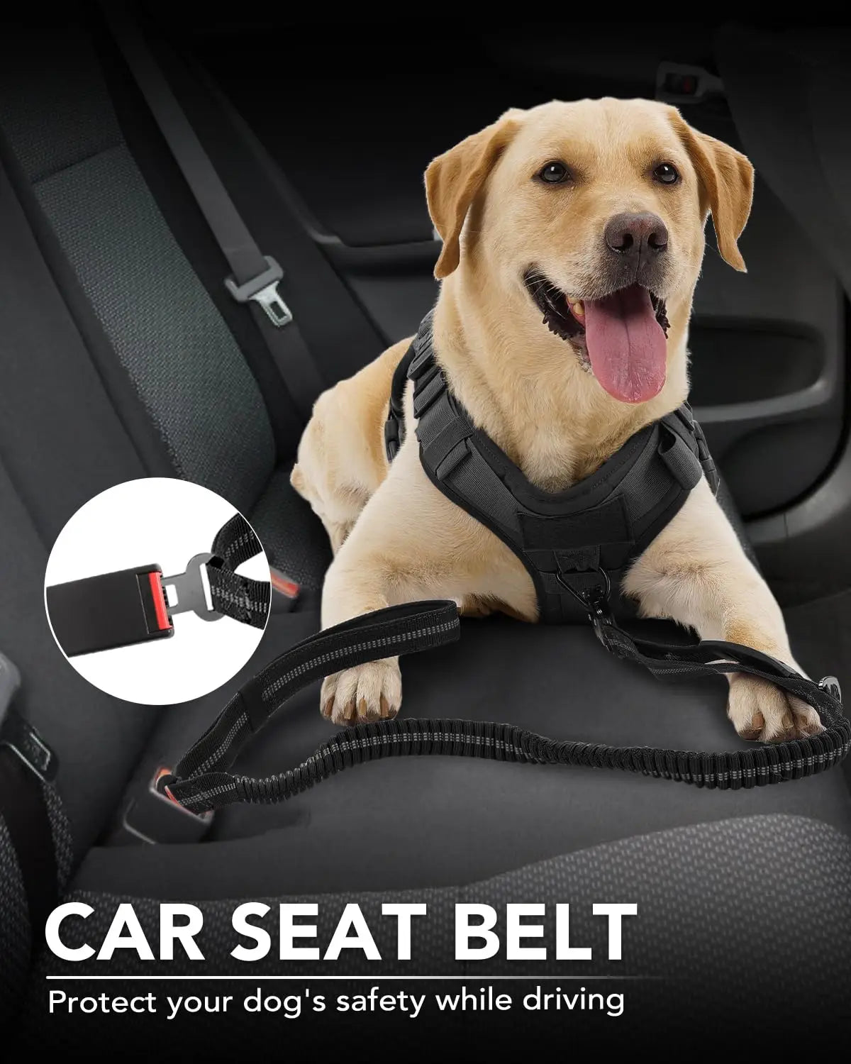 Heavy-Duty Bungee Dog Leash for Medium & Large Dogs