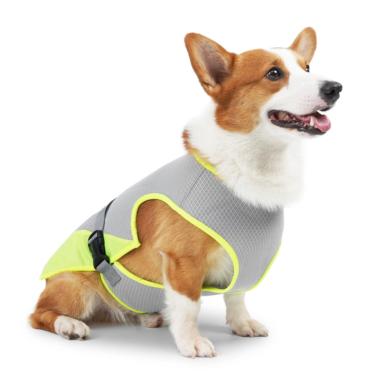 Cooling Vest for Dogs – Breathable & Reflective