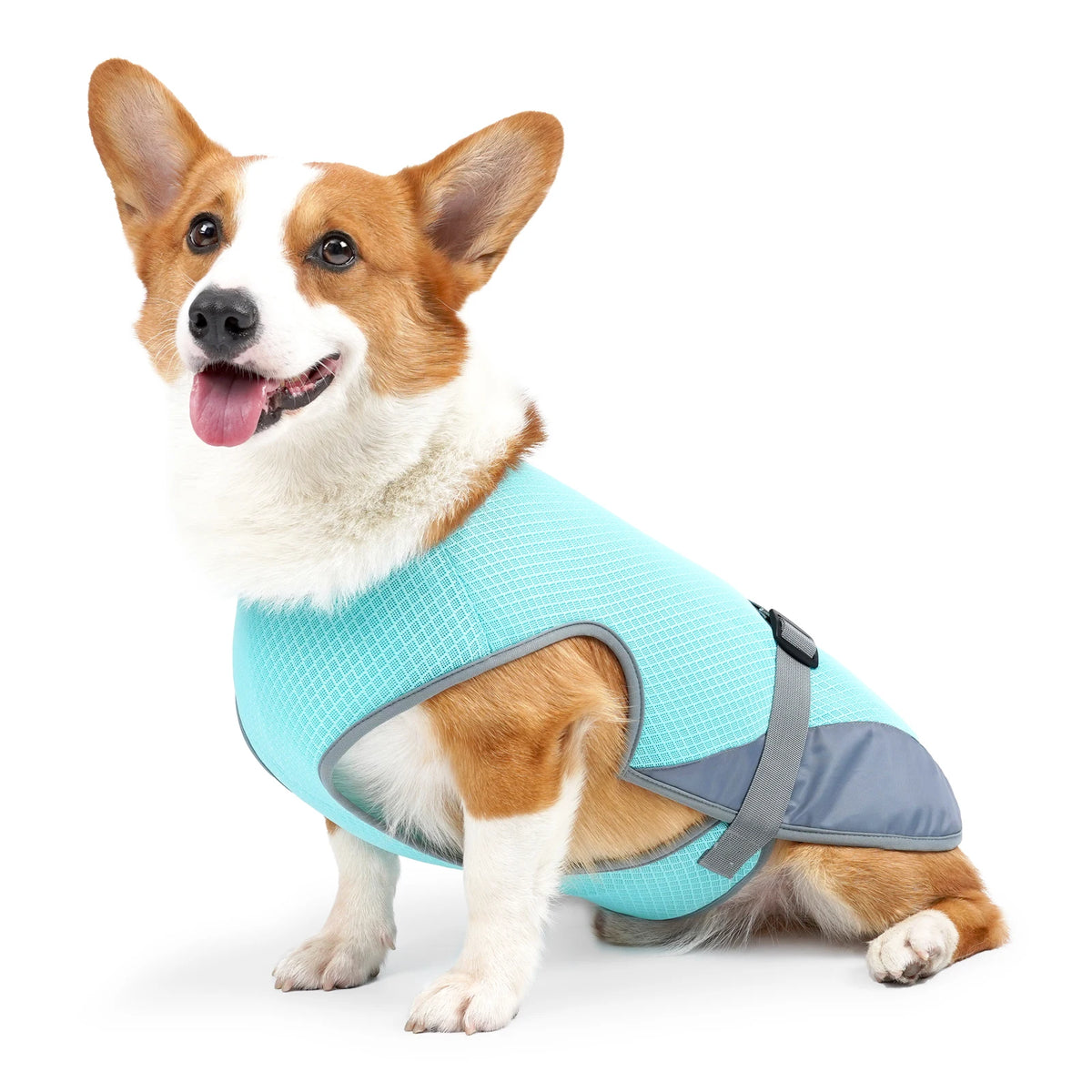 Cooling Vest for Dogs – Breathable & Reflective