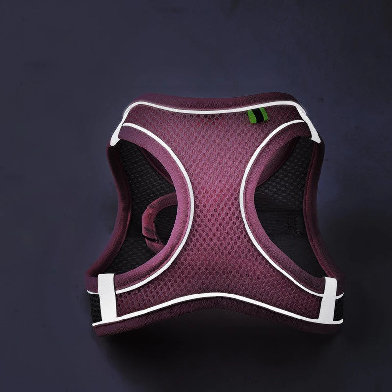 Reflective Breathable Dog & Cat Harness Vest Set