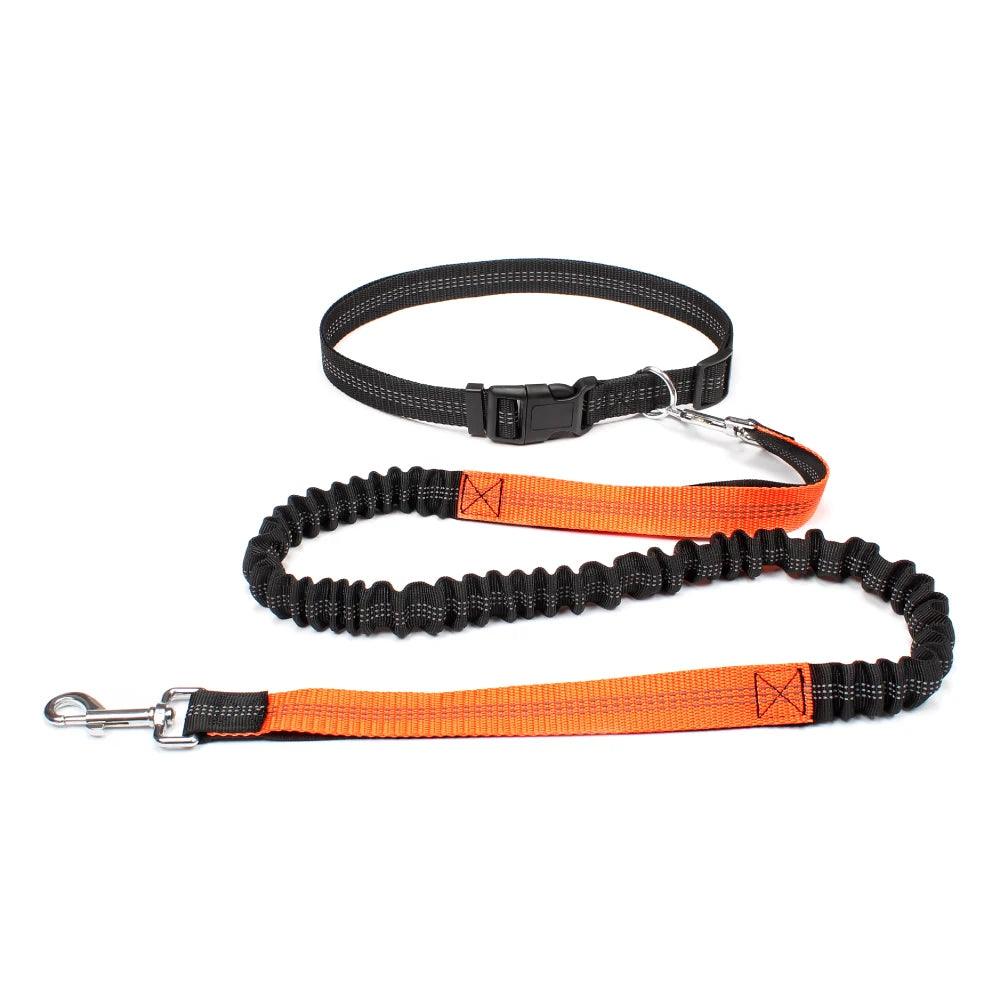 Hands-Free Dog Leash with Adjustable Waist Belt