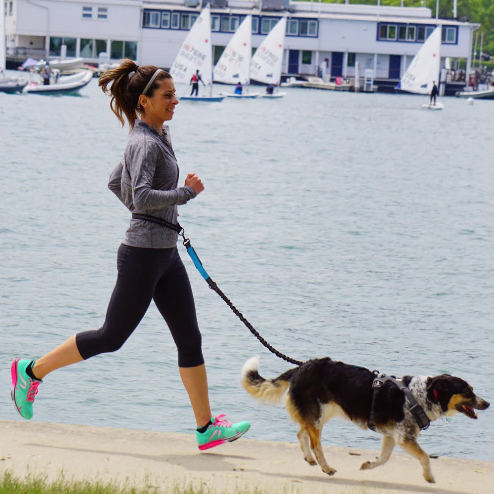 Hands-Free Dog Leash with Adjustable Waist Belt