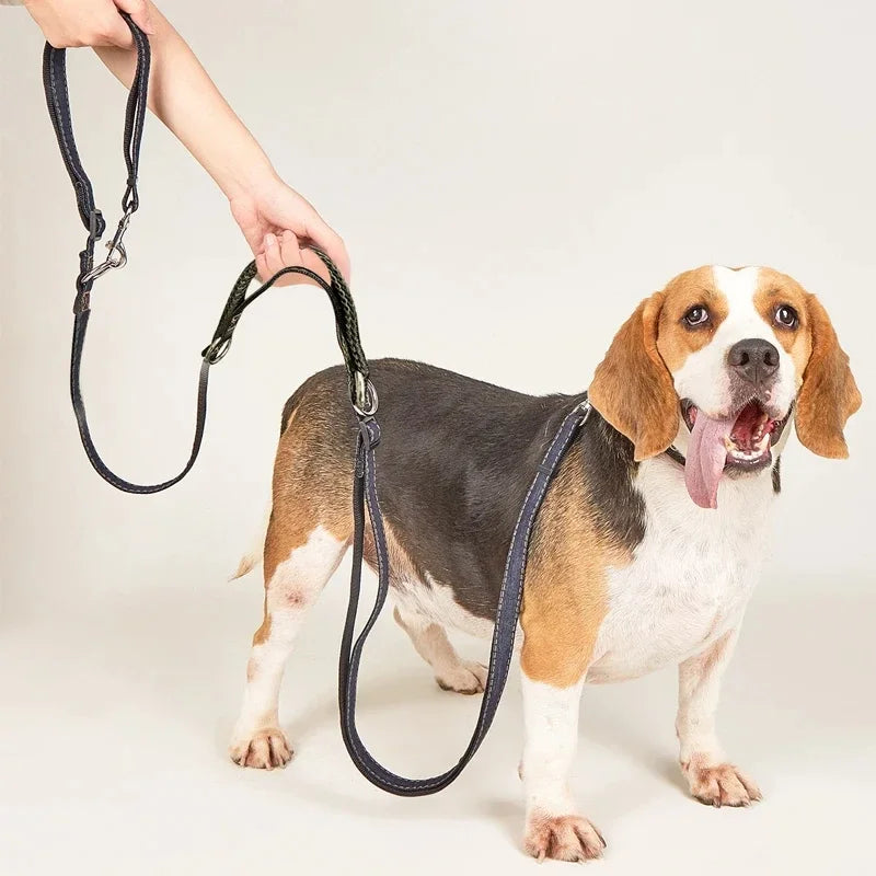 Adjustable Hands-Free Double Dog Leash for Walking & Running