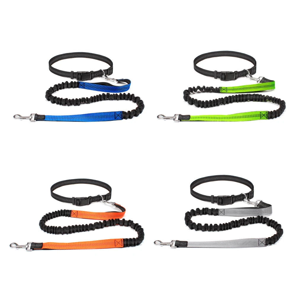 Hands-Free Dog Leash with Adjustable Waist Belt