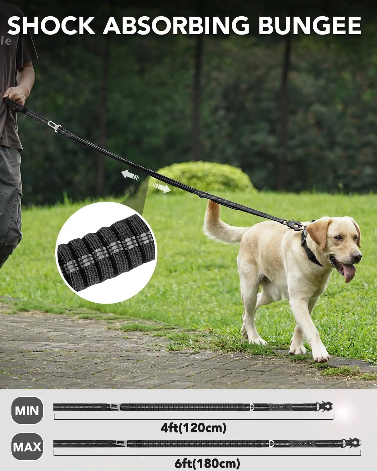 Heavy-Duty Bungee Dog Leash for Medium & Large Dogs