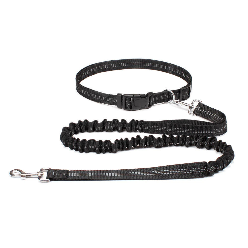 Hands-Free Dog Leash with Adjustable Waist Belt