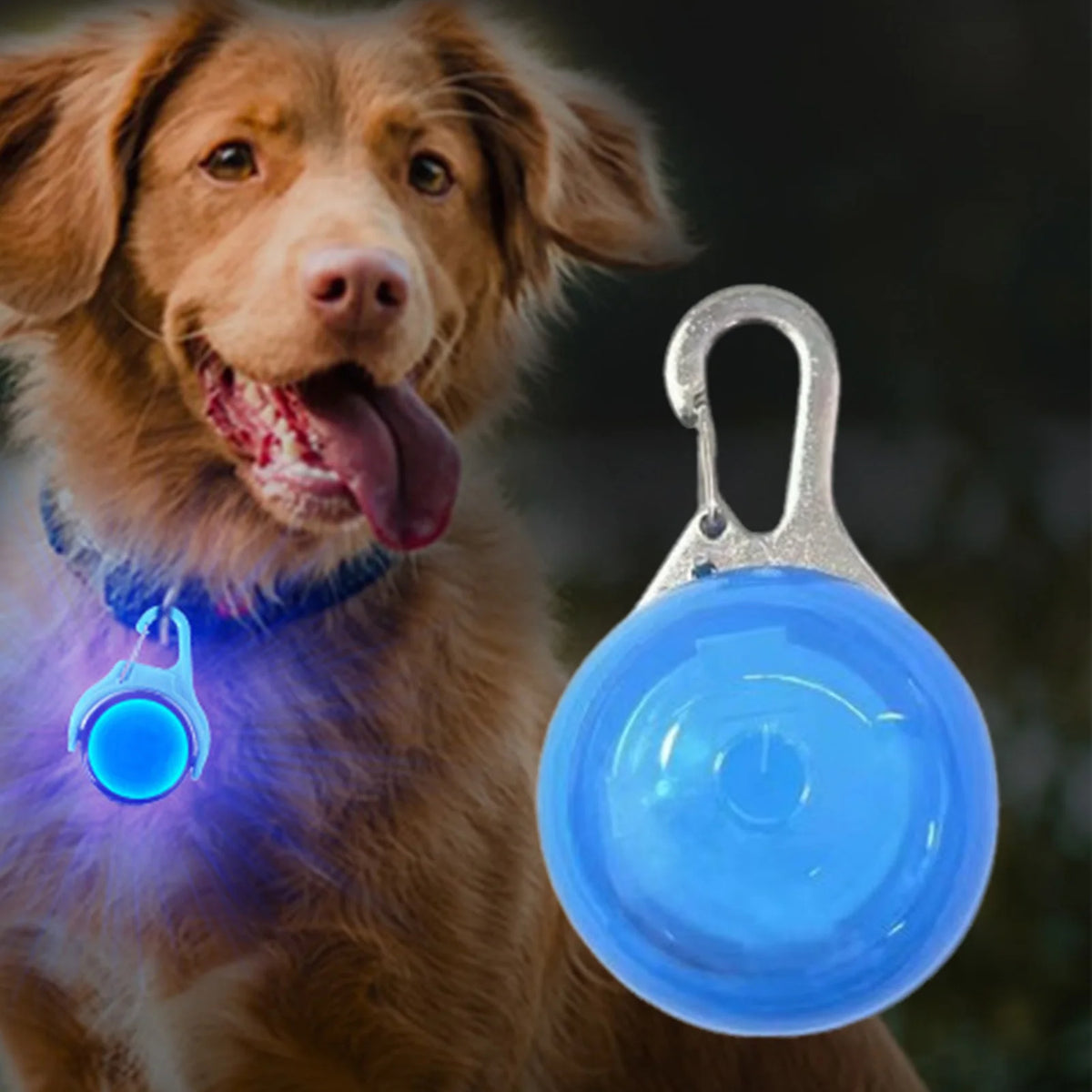 LED Glow Dog Collar Light – Night Safety Pendant for Dogs & Cats