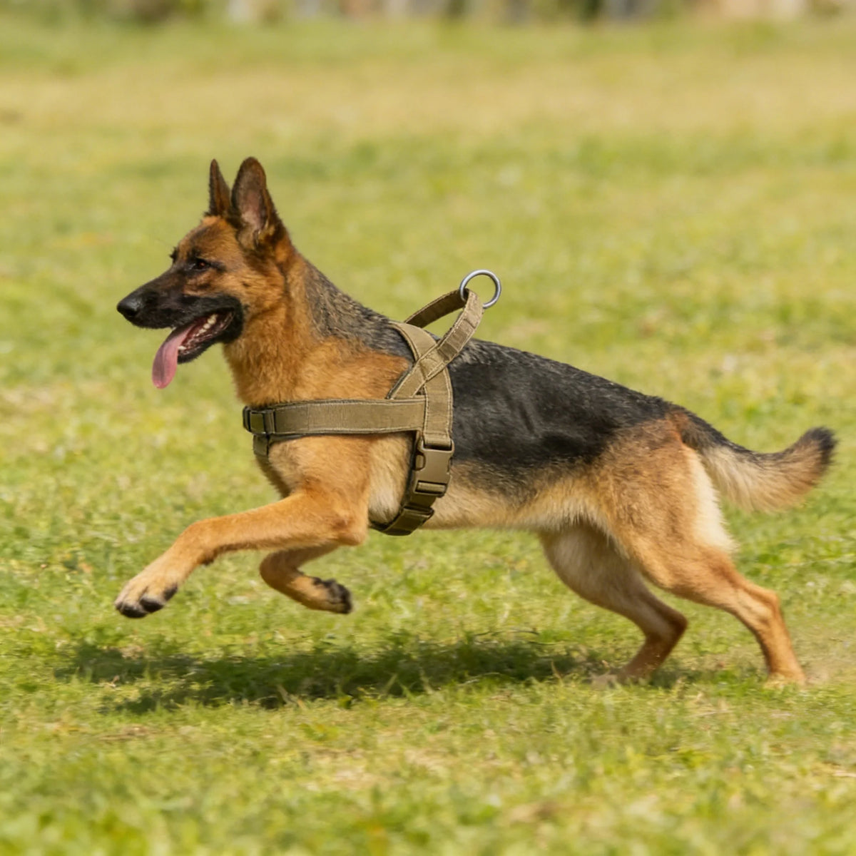 Tactical No-Pull Dog Harness for Large Breeds